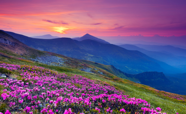 America@250: Endowed by our Creator image